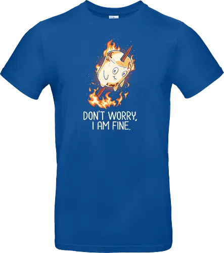 Don't Worry I Am Fine