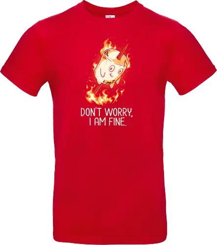 Don't Worry I Am Fine