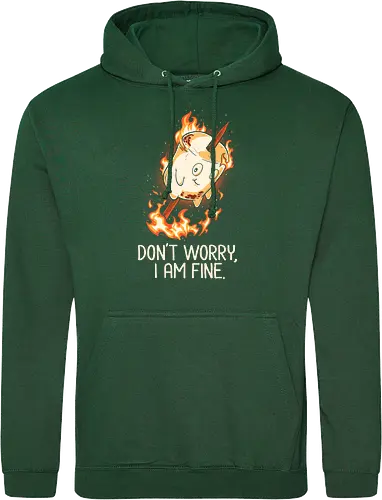 Don't Worry I Am Fine