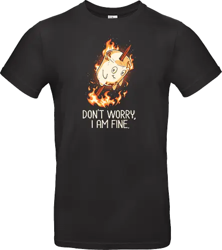 Don't Worry I Am Fine