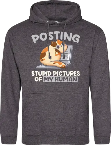 Posting Stupid Pictures of My Human