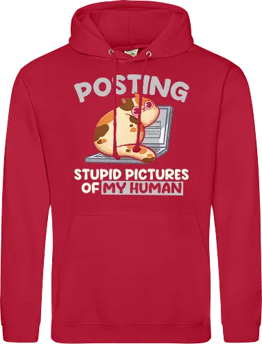 Posting Stupid Pictures of My Human