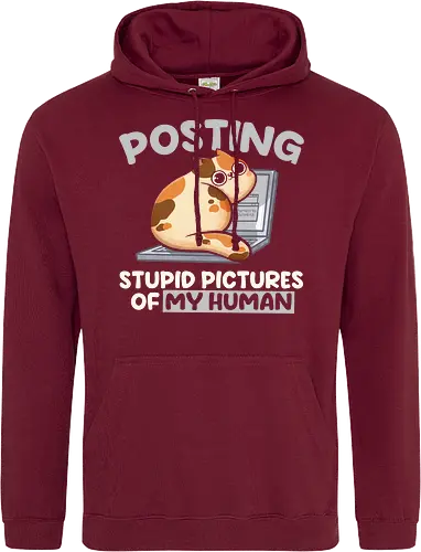 Posting Stupid Pictures of My Human