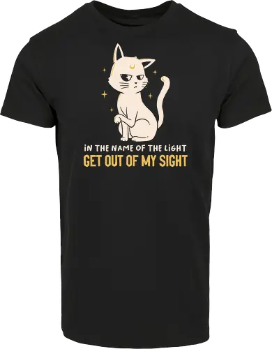 In The Name Of The Light