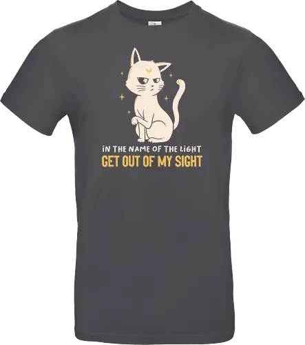 In The Name Of The Light