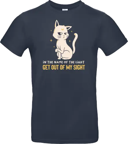 In The Name Of The Light