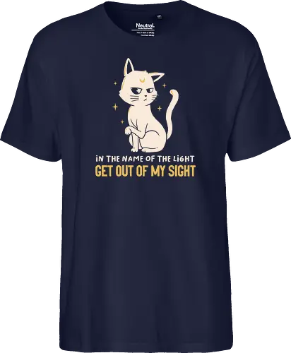 In The Name Of The Light