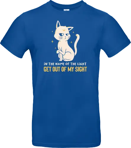 In The Name Of The Light