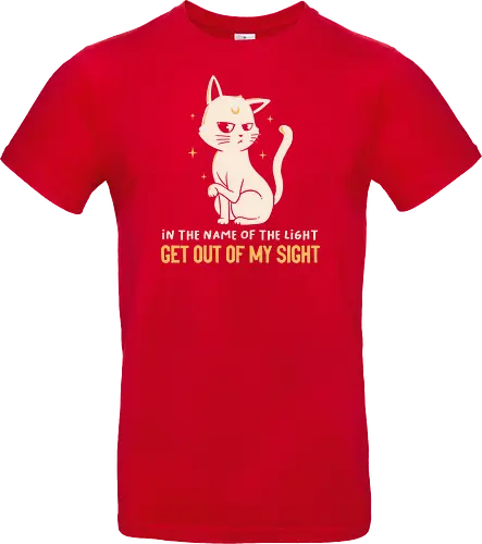 In The Name Of The Light