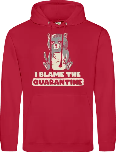 I Blame The Quarantine