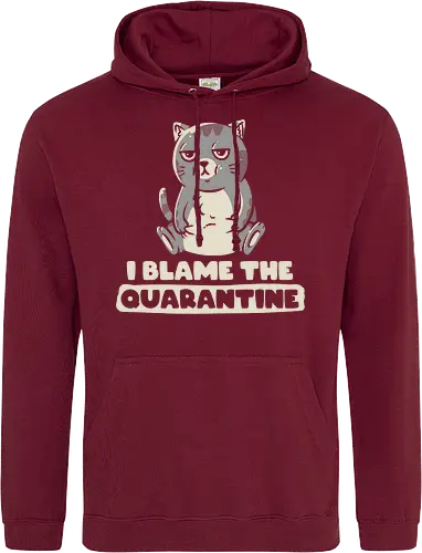 I Blame The Quarantine