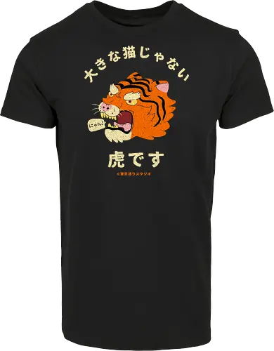 Not A Big Cat
