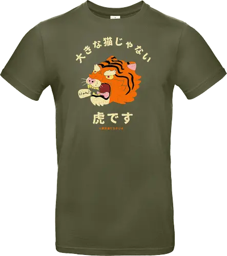 Not A Big Cat