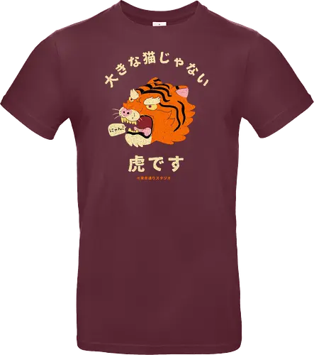 Not A Big Cat