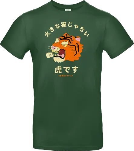 Not A Big Cat