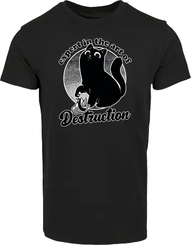 Expert in Destruction - Cute Black Cat
