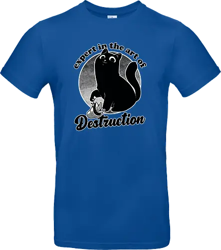Expert in Destruction - Cute Black Cat
