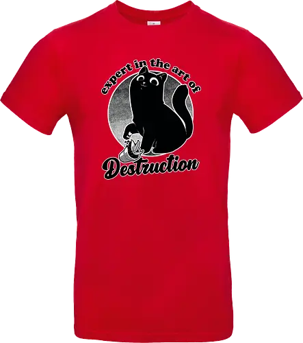 Expert in Destruction - Cute Black Cat