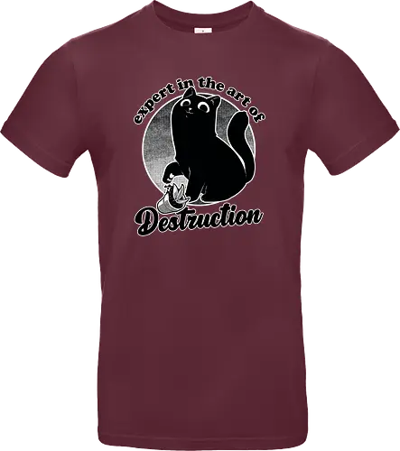 Expert in Destruction - Cute Black Cat