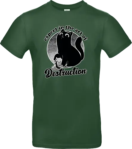 Expert in Destruction - Cute Black Cat