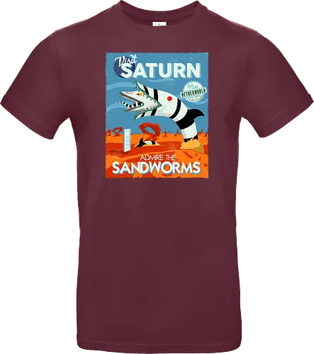 Visit Saturn