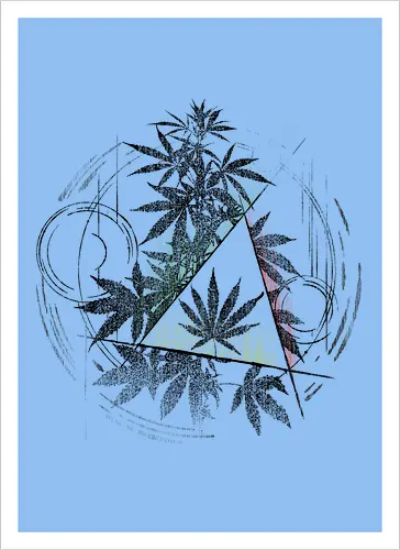 Witch Weed