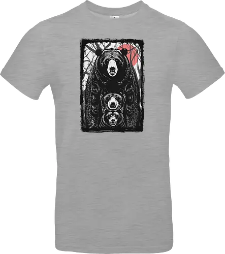 Bear and Bears