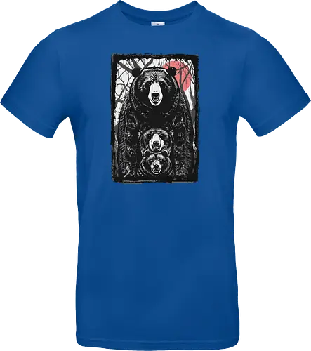 Bear and Bears