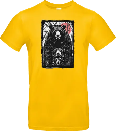 Bear and Bears