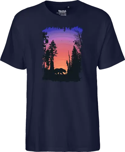 Bear and Bears
