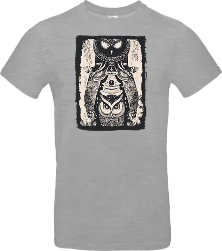 Owls and Owls