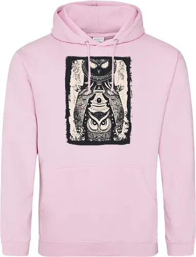Owls and Owls