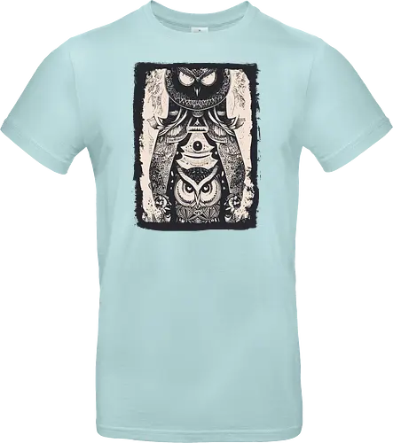 Owls and Owls