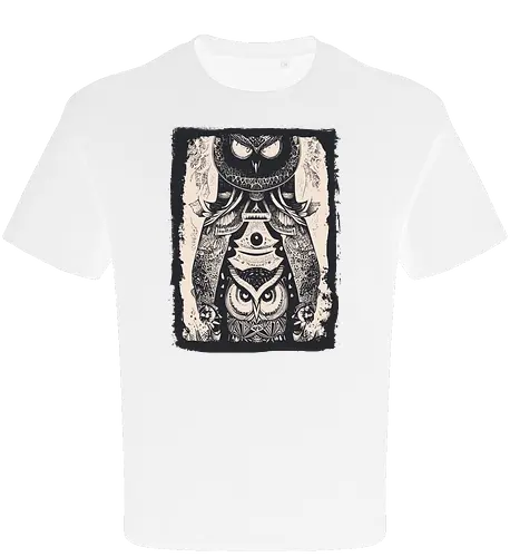 Owls and Owls