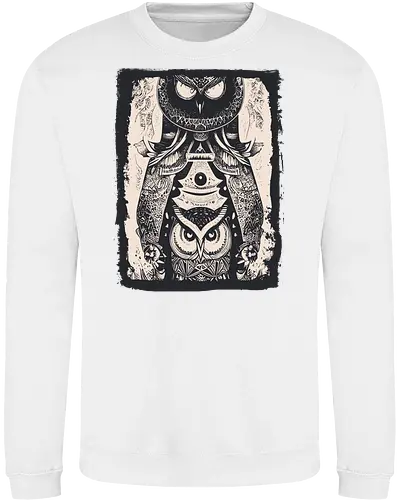 Owls and Owls