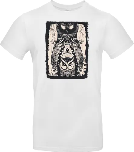 Owls and Owls