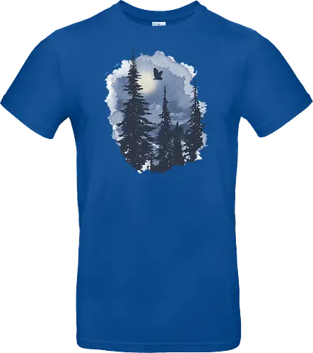 Owl at Night