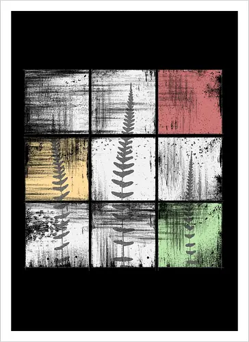 Ferns