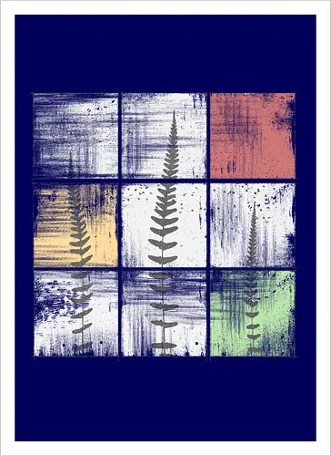 Ferns