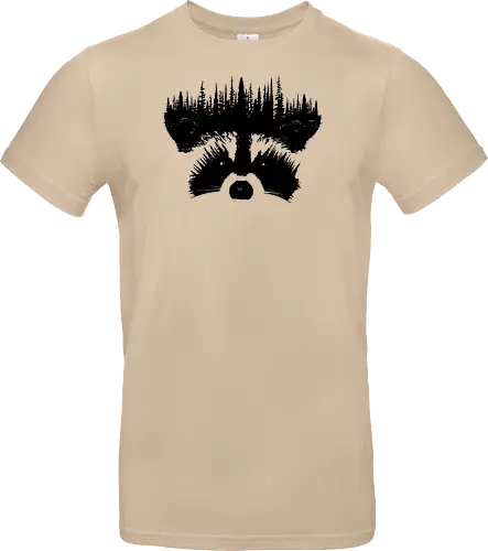 Raccoon Forest