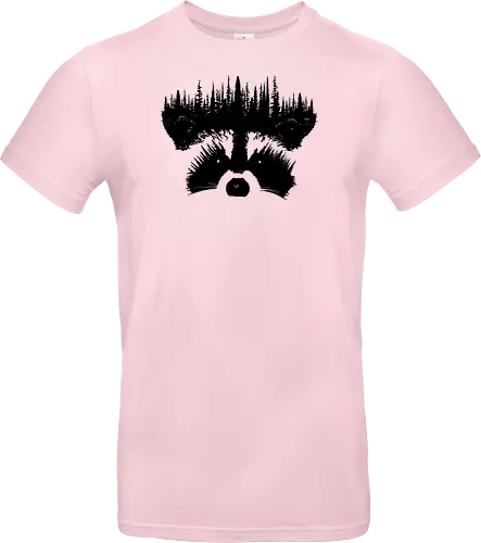 Raccoon Forest