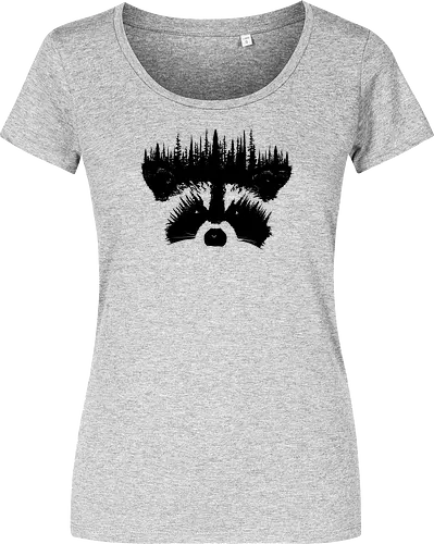 Raccoon Forest