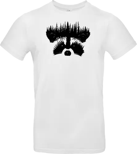 Raccoon Forest