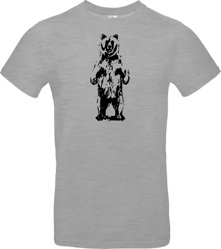 Bear In The Wild