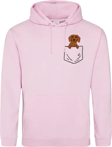 Dachshund in my pocket