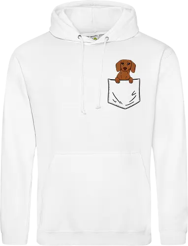 Dachshund in my pocket