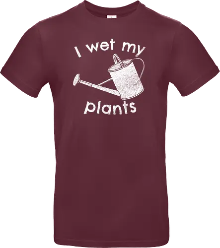 I wet my plants