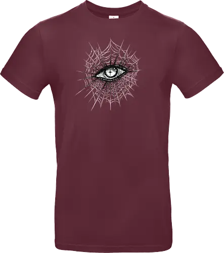 Eye in the spiderweb