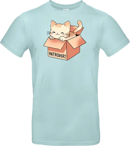 Introvert cat