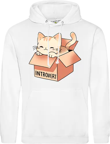 Introvert cat